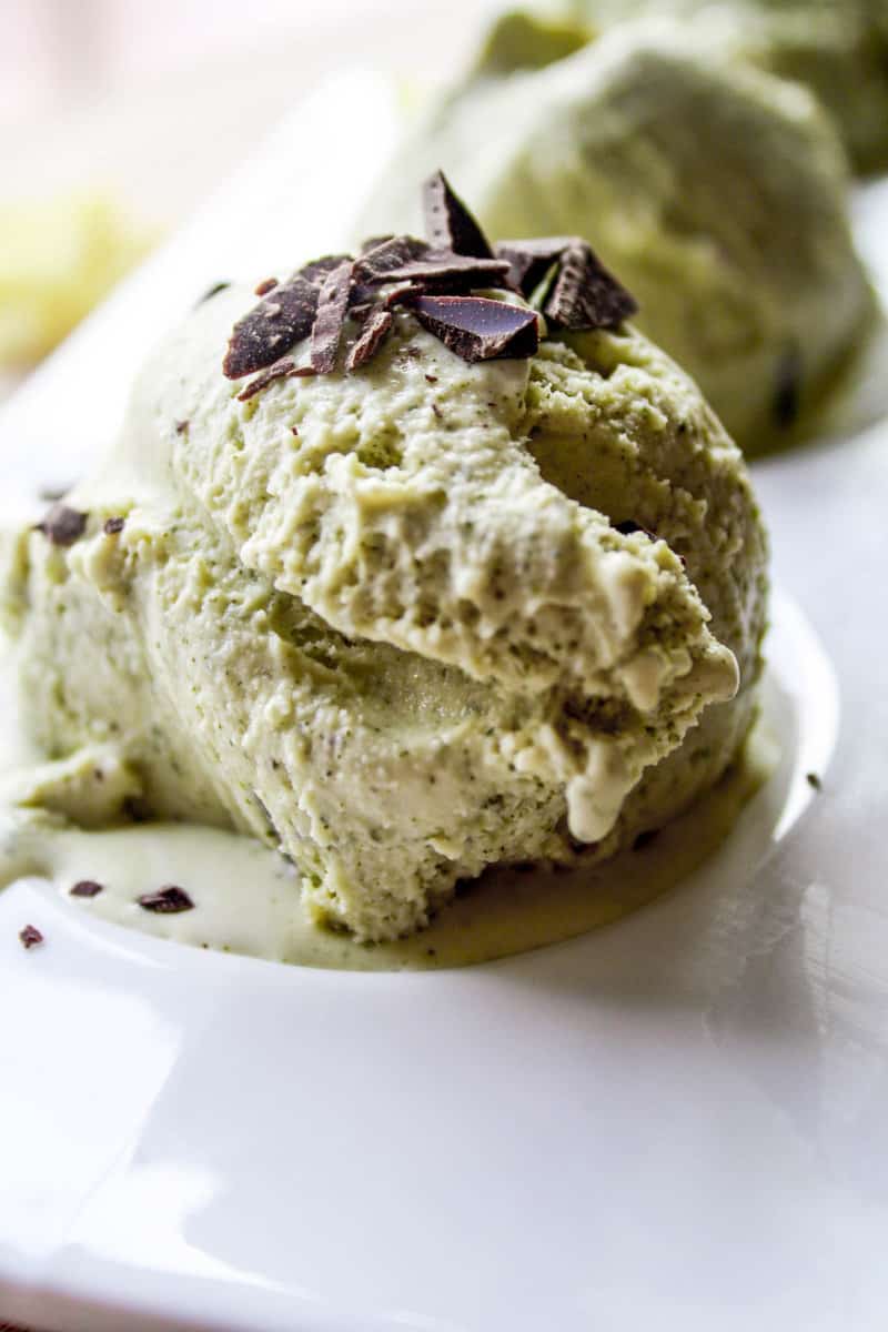 green-tea-ice-cream-6-zestful-kitchen