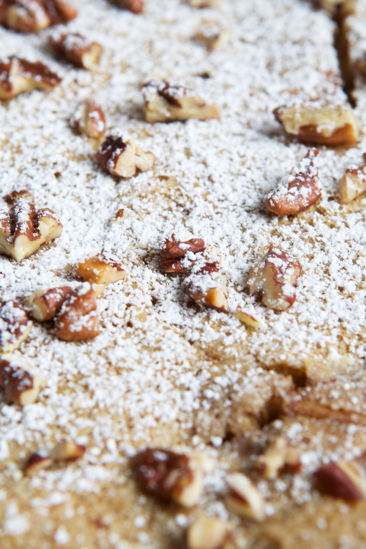 Close up photo of powdered sugar and nuts scattered on a puffed apple pancake