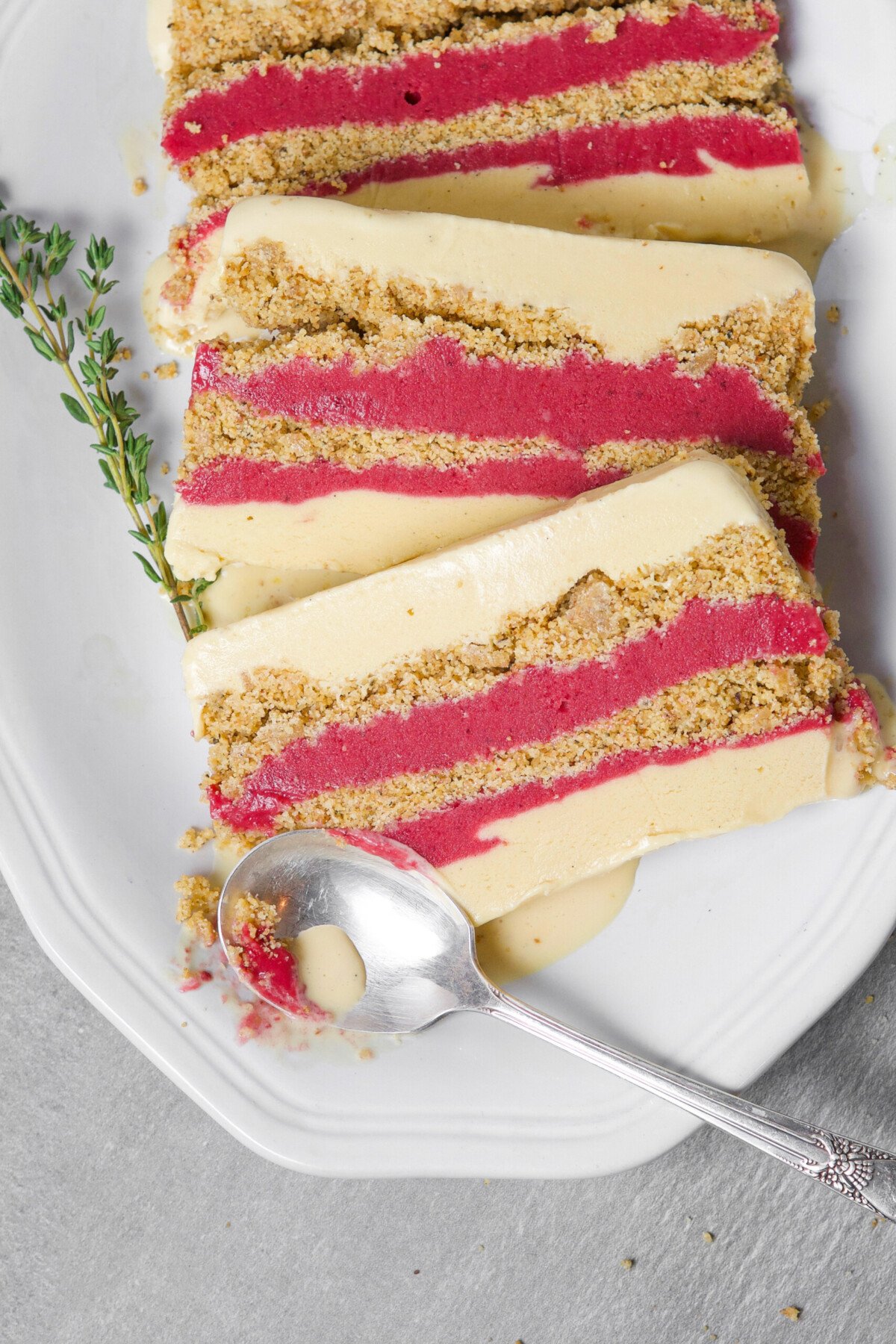 Overhead photograph of layered ice cream cake with cranberry curd