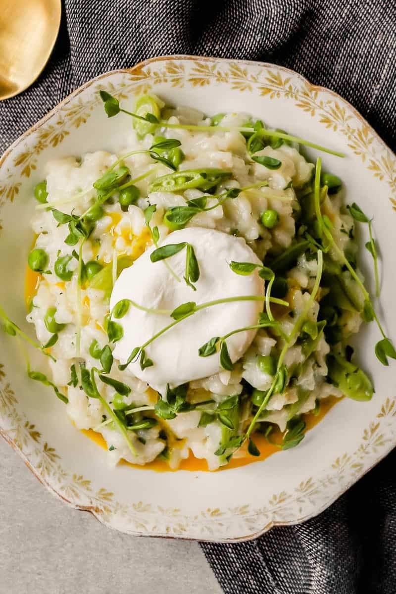 creamy risotto in a shallow white bowl with gold edging. topped with a poached egg and herbs
