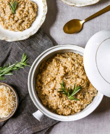 A white and gold bowl, filled with a serving or sorghum risotto and garnished with a sprig of rosemary
