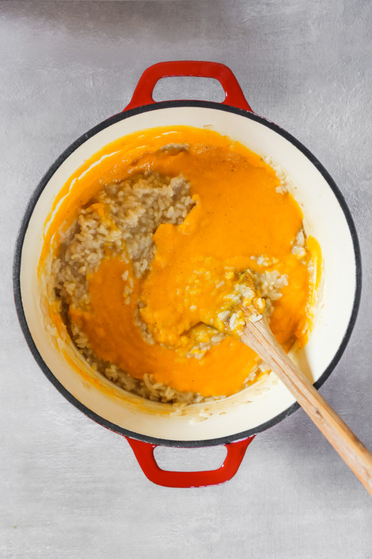 red pot with risotto and butternut squash puree