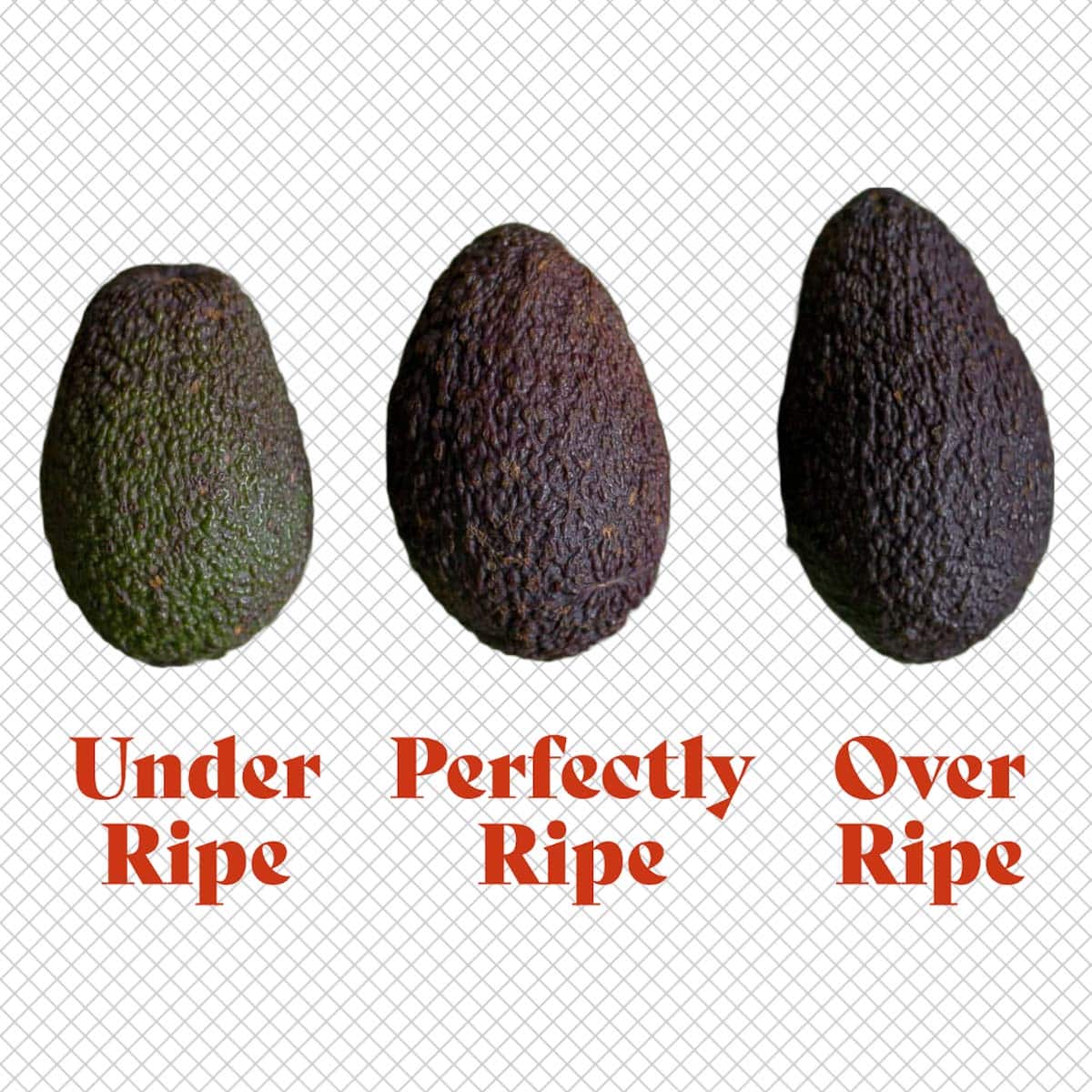 three avocados on a grid background with text underneath avocados