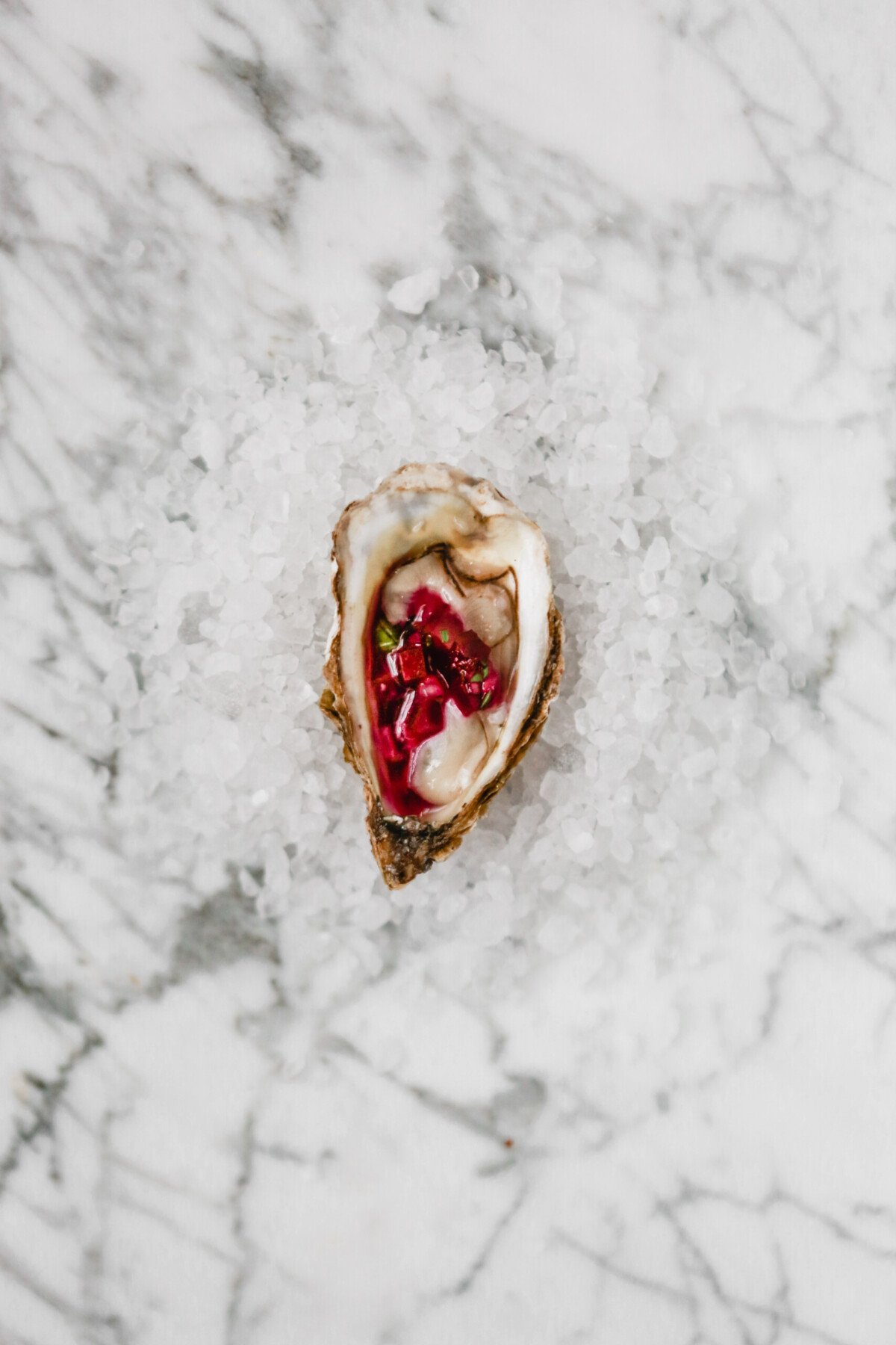 Photograph of one oyster on the half shell set on a bed of rock salt topped with a red mignonette
