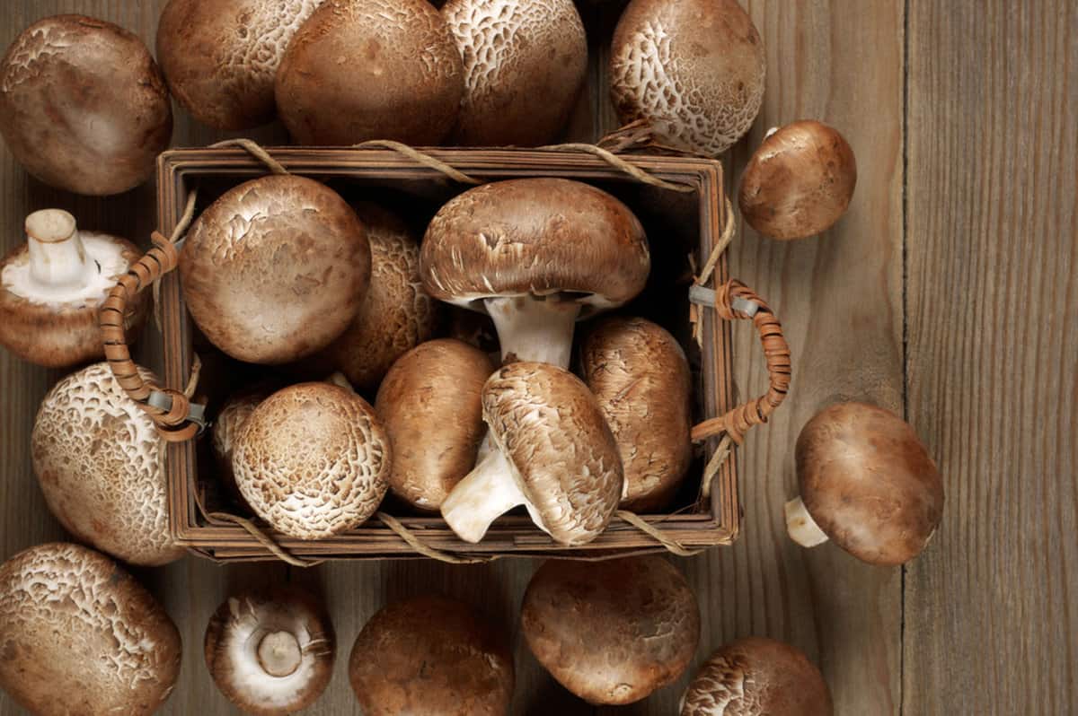 cremini mushrooms piled into a brown bin on a brown table