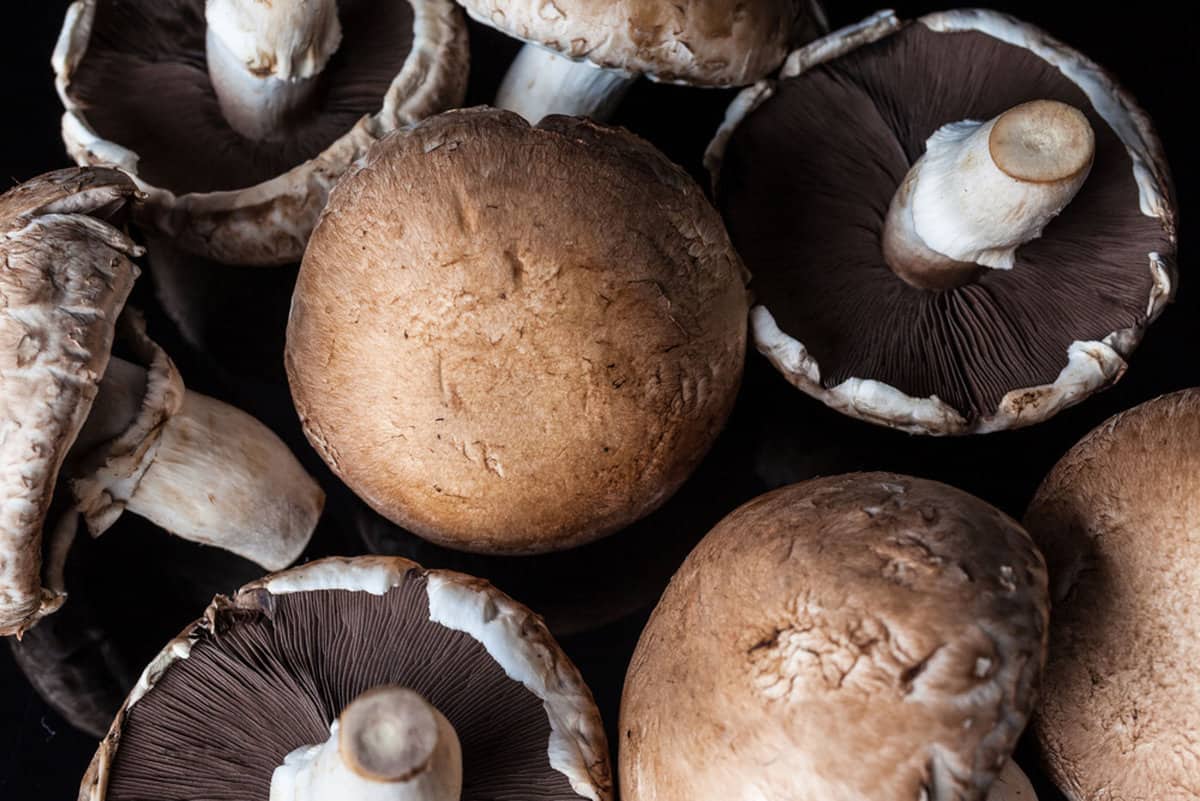 close up of a pile of fresh portobello mushrooms