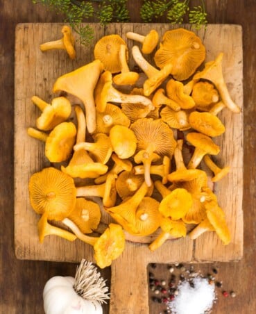 a pile of golden Chanterelle mushrooms on a square cutting board with herbs, garlic and salt arranged around them