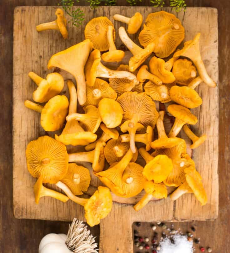 a pile of golden Chanterelle mushrooms on a square cutting board with herbs, garlic and salt arranged around them