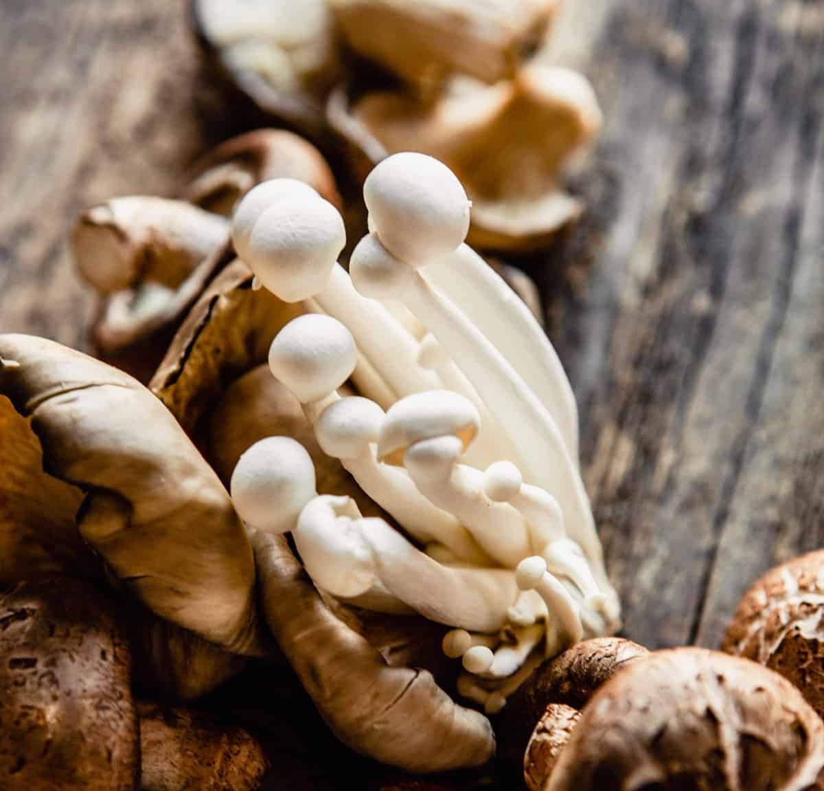 Close up image of white beech mushrooms on top of a pile of mushrooms on a wood board