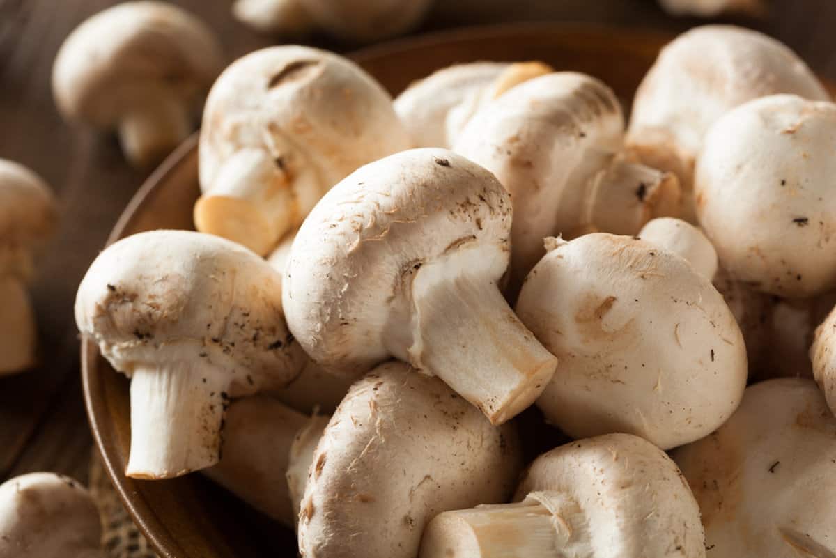 close up photo of white button mushrooms in a pile