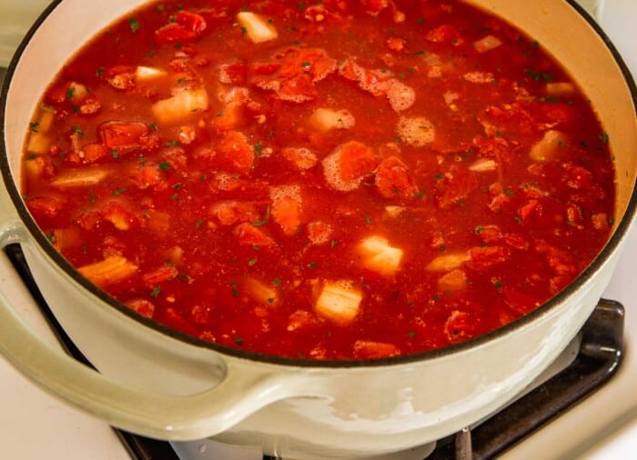 tomato and broth in a large Dutch oven