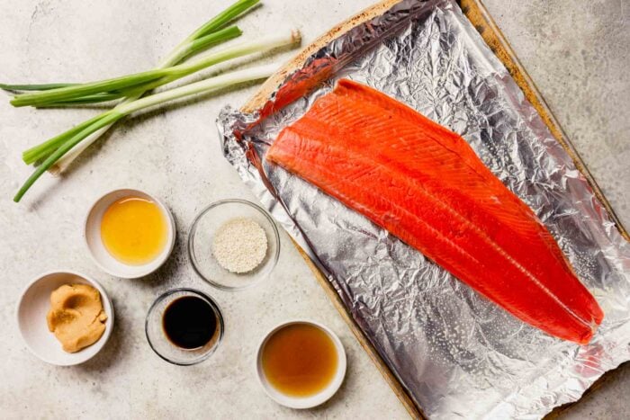 salmon, sauces, sesame seeds and green onions measured out on a counter