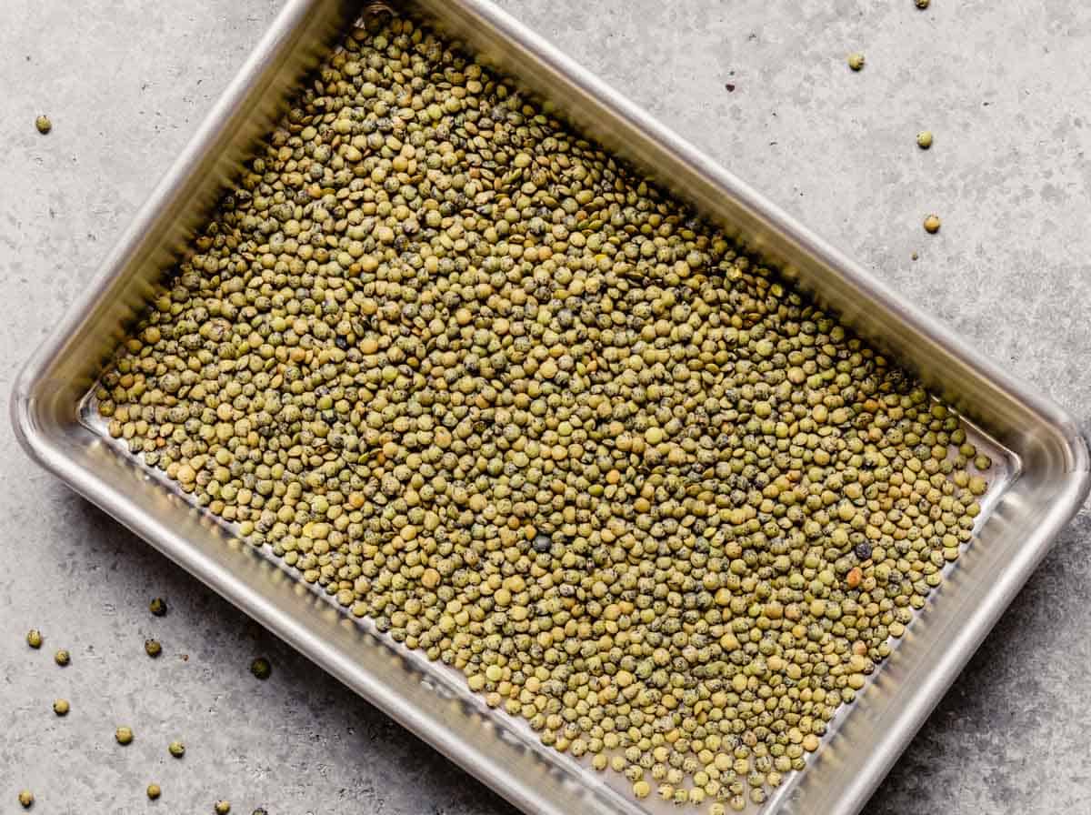 French green lentils on a baking sheet