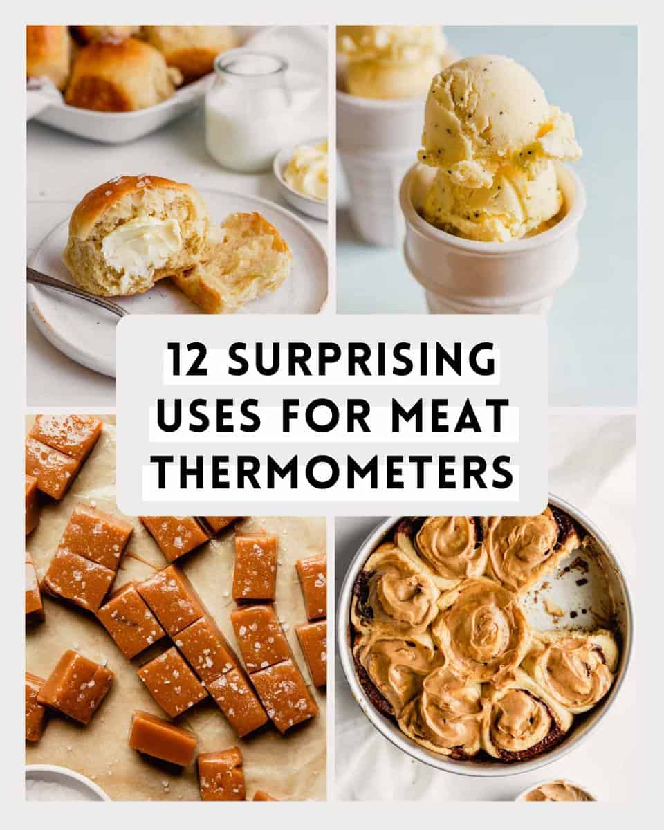 https://zestfulkitchen.com/wp-content/uploads/2021/03/uses-for-a-meat-thermometer.jpg