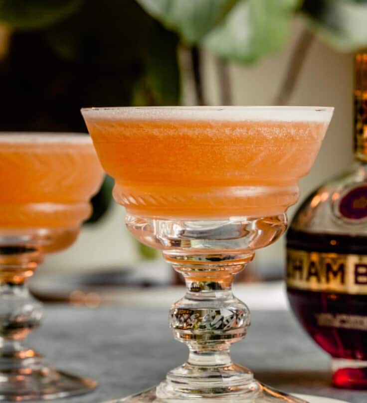 orange-pink drink in a coupe glass with chambord and plants in the background