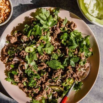 ground beef and herb salad on a pink plate with a spoon set on it.