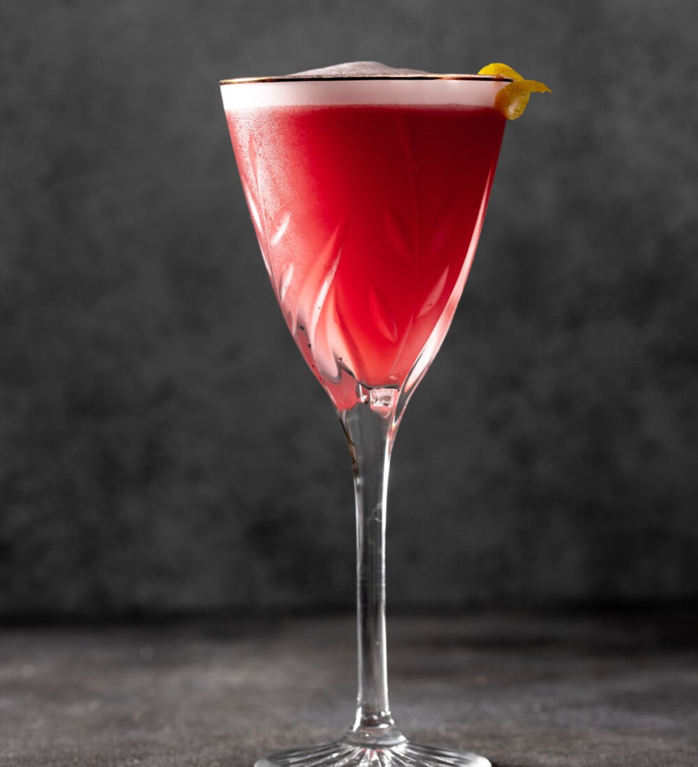 The Best Sloe Gin Fizz Cocktail Recipe