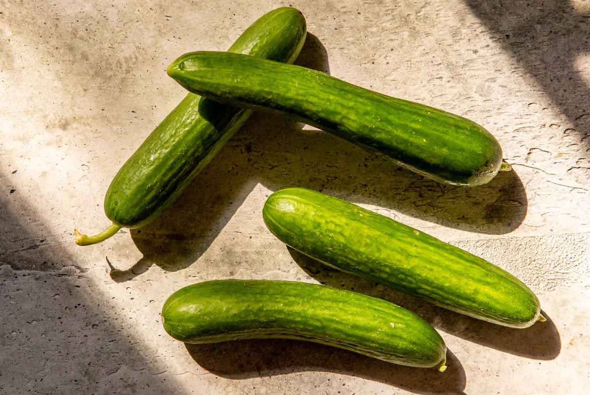 four Persian cucumbers in a stone counter