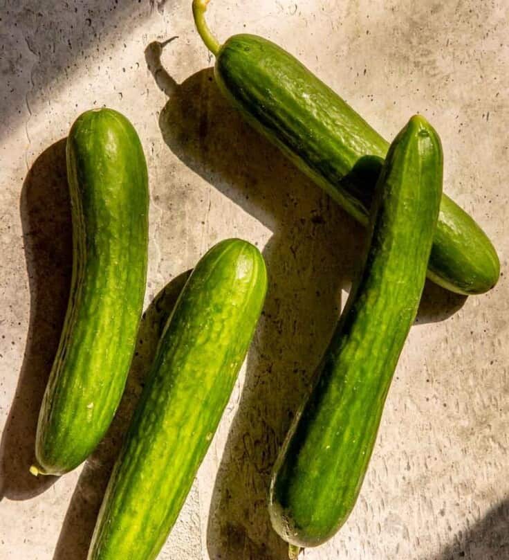 four Persian cucumbers in a stone counter