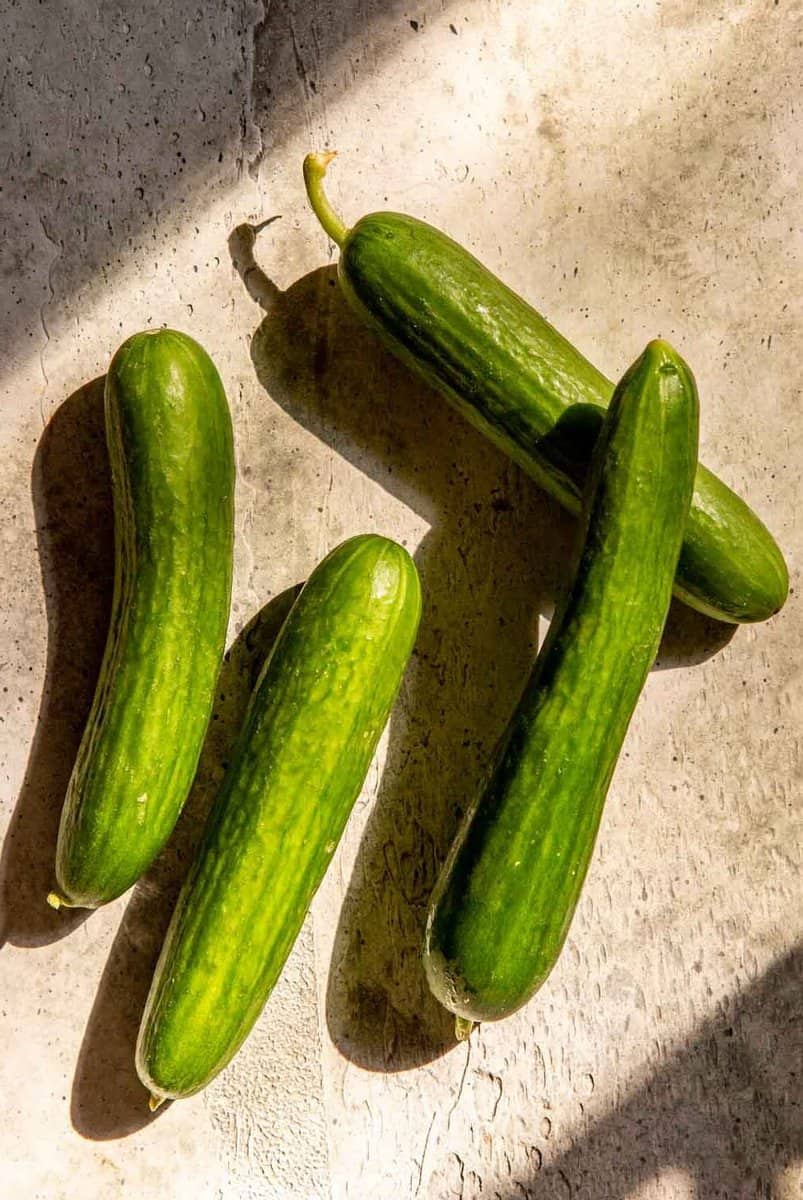 Order Mini Seedless Cucumber Pack