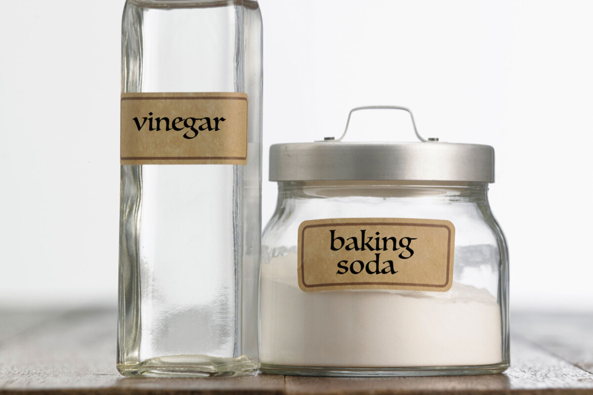 baking powder and vinegar set out on a counter