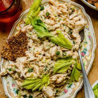 Creamy crab salad on an oval colorful plate with a spoon, crackers and celery leaves on top.