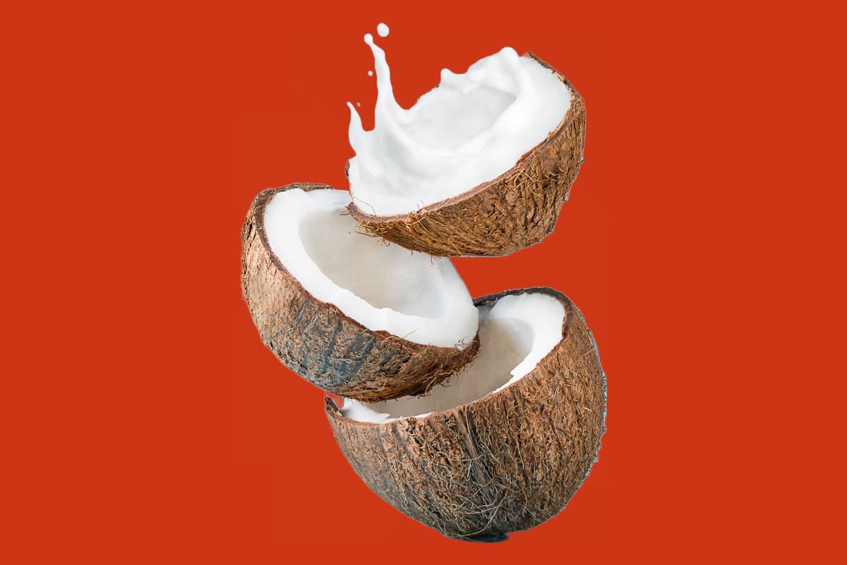 coconut halves on an orange background