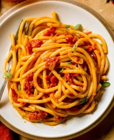 Swirled bucatini pasta tossed in a cherry tomato sauce in a white plate with tomatoes set in the background.