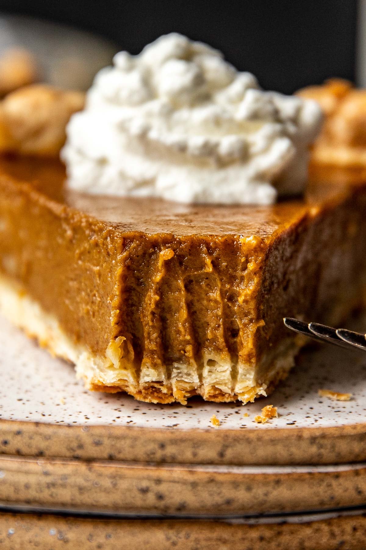 Close up of a slice of pumpkin pie on a speckled plate with a bite take out of it.